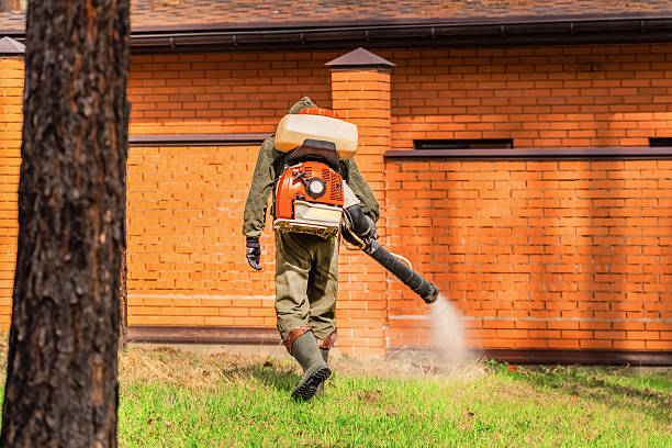 Bed Bug Clearance Verification and Documentation in Twin Falls